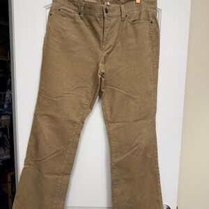 LOFT Women's Brown Curvy Boot Pants